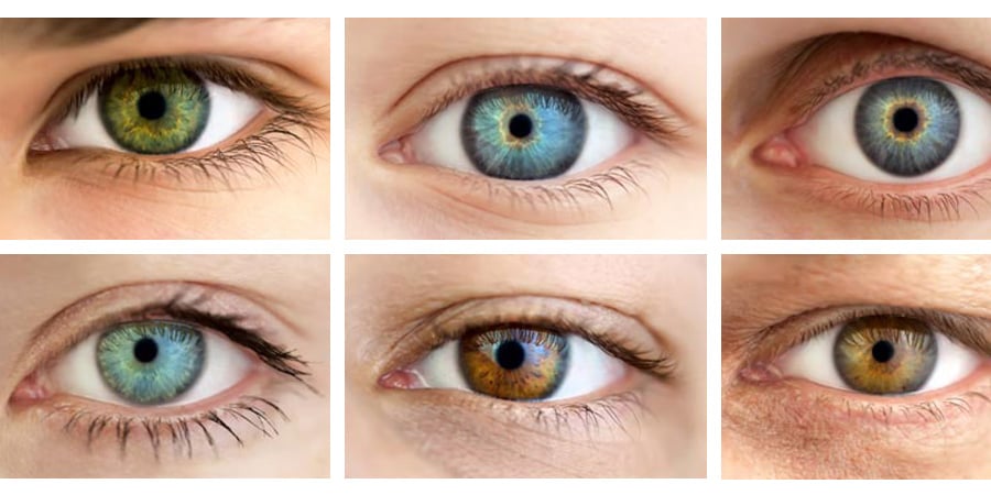 How does eye colour work?
