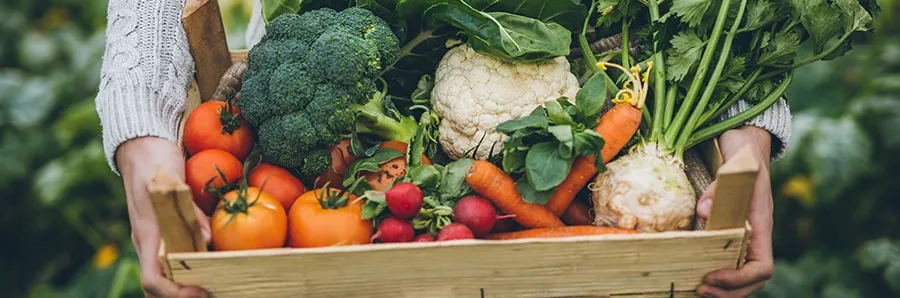 Basket of vegetables